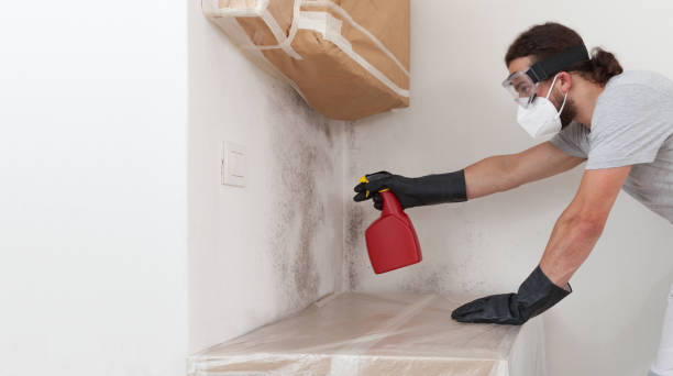 Professional Mold Remediation technician working in Highland Park, MI
